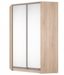 Угловой шкаф Аларти (YA-230х1400(602) (10) Вар. 5; двери D5+D5), с зеркалом в Симферополе
