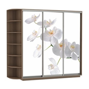 Шкаф 3-х дверный Экспресс со стеллажом, 2100х600х2200, Орхидея белая/шимо темный в Симферополе