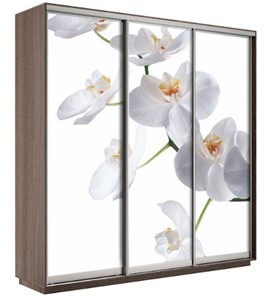 Шкаф 3-х створчатый Экспресс 2100х600х2200, Орхидея белая/шимо темный в Симферополе