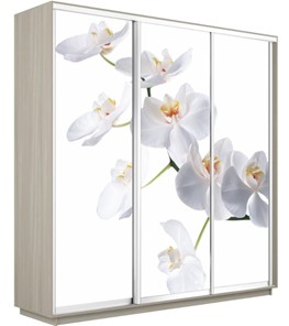 Шкаф 3-дверный Экспресс 2400х600х2200, Орхидея белая/шимо светлый в Симферополе