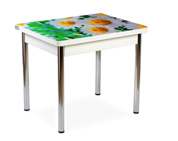 Кухонный пристенный стол СПА-01 СТФ, белый/фотопечать ромашки/опоры прямые хром в Симферополе