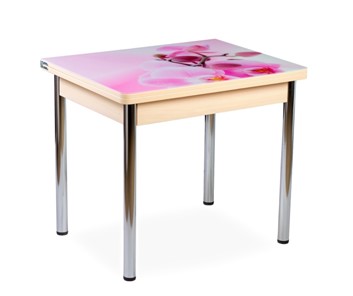 Кухонный пристенный стол СПА-01 СТФ, молочный дуб/фотопечать орхидея/опоры прямые хром в Симферополе