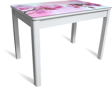 Стол на кухню Айсберг-4 СТФ белое/орхидея/массив в Симферополе
