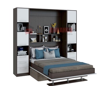 Кровать-шкаф с диваном DetalMaster Бела 1, с полкой ножкой, 1200х2000, венге/белый в Симферополе