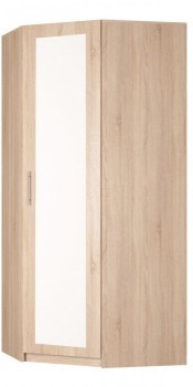 Шкаф угловой Реал (YR-230х884 (9)-М Вар.1), с зеркалом в Симферополе - изображение