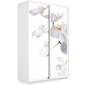 Шкаф Экспресс 1600x450x2400, Орхидея белая/белый снег в Симферополе