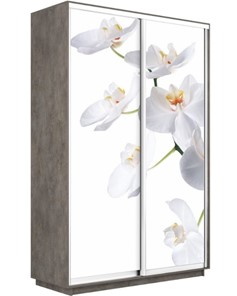Шкаф 2-х дверный Экспресс 1600x600x2400, Орхидея белая/бетон в Симферополе