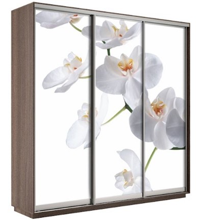 Шкаф 3-х створчатый Экспресс 2100х600х2200, Орхидея белая/шимо темный в Симферополе - изображение