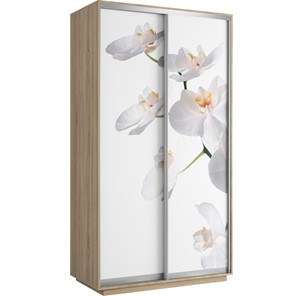 Шкаф двухдверный Хит 1200x600x2200, белая орхидея, ясень шимо светлый в Симферополе