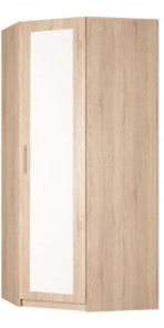 Распашной шкаф угловой Реал (YR-230х1034 (3)-М Вар.4), с зеркалом в Симферополе - предосмотр