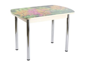 Кухонный раздвижной стол ПГ-02 СТФ, дуб молочный ЛДСП/луговые цветы/39 прямые трубы хром в Симферополе