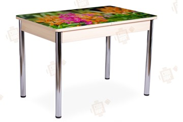 Кухонный раскладной стол Айсберг-02 СТФ, Дуб ЛДСП/полевые цветы/ноги хром прямые в Симферополе