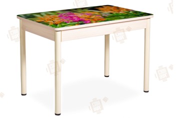 Кухонный стол раздвижной Айсберг-02 СТФ, Дуб ЛДСП/полевые цветы/ноги крашеные в Симферополе