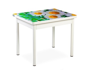 Кухонный пристенный стол СПА-01 СТФ, белый/фотопечать ромашки/опоры прямые белые в Симферополе