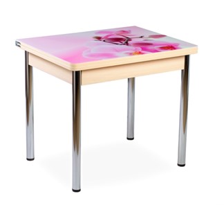 Кухонный пристенный стол СПА-02 СТФ, молочный дуб/фотопечать орхидея/опоры хром в Симферополе