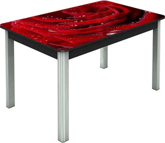 Обеденный раздвижной стол Гамбург исп. Мини, ноги метал. крашеные №23, Фотопечать (Цветы №39) в Симферополе