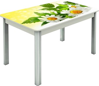 Обеденный раздвижной стол Гамбург исп.2 ноги метал. крашеные №23, Фотопечать (Цветы №3) в Симферополе