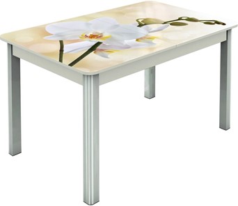 Кухонный стол раздвижной Гамбург исп.2 ноги метал. крашеные №23, Фотопечать (Цветы №5) в Симферополе