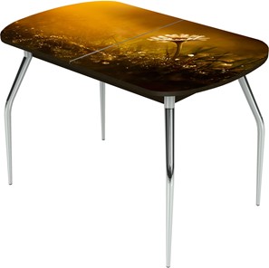 Обеденный раздвижной стол Ривьера исп.2 ноги метал. крашеные №24 Фотопечать (Цветы №43) в Симферополе