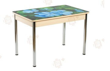 Кухонный стол раскладной Айсберг-01 СТФ, дуб/фотопечать фиалка/ноги хром прямые круглые в Симферополе