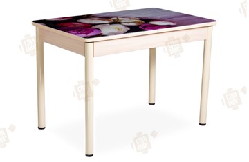 Кухонный стол раскладной Айсберг-01 СТФ, дуб/фотопечать пионы/ноги крашеные в Симферополе
