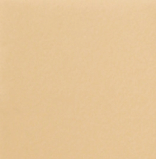 Стул обеденный Роджер Эконом С102-2(стандартная покраска) в Симферополе - изображение 9