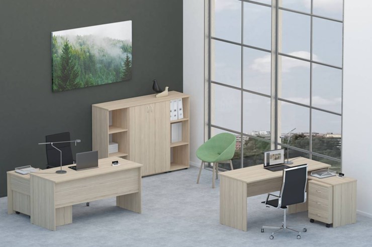 Офисный комплект мебели Twin для 2 сотрудников со шкафом для документов в Симферополе - изображение