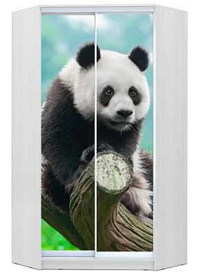 Шкаф угловой Хит-У-24-4-77-29, Панда, Белый в Симферополе - изображение