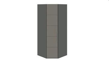 Распашной шкаф угловой Наоми, цвет Фон серый, Джут СМ-208.07.06 в Симферополе