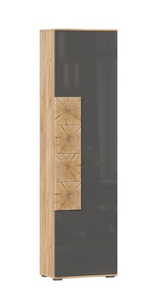 Шкаф одностворчатый Фиджи с декоративными накладками 659.300, Дуб Золотой/Антрацит в Симферополе - изображение