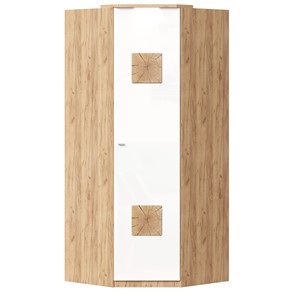 Шкаф угловой 45 с декоративной накладкой Фиджи, 659.248, белый в Симферополе - предосмотр