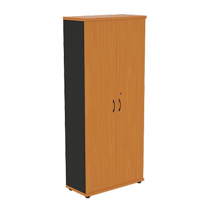 Шкаф 2-дверный Моно-Люкс R5S05 в Симферополе - изображение